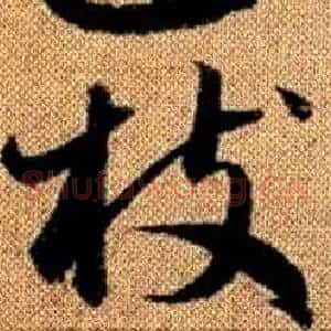 枝