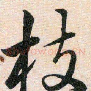 枝