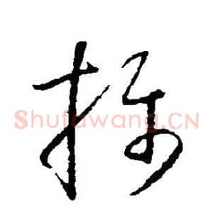 摄