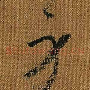 身