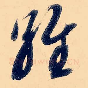 维