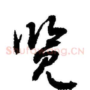览