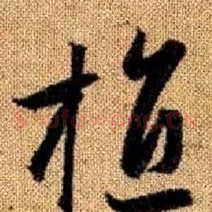 植