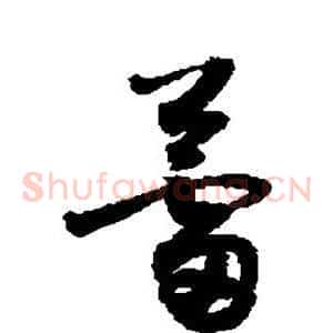 蕾