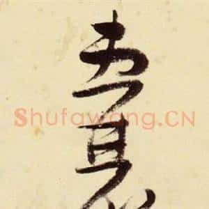 囊