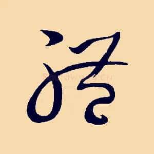 體