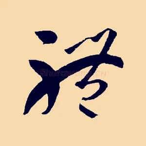 體