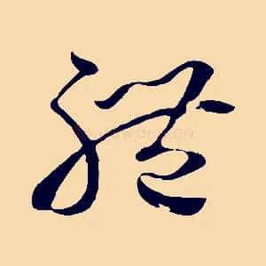 體