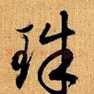 珠