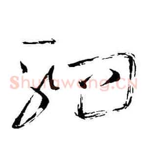 驷
