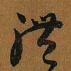 體
