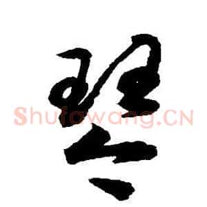琴