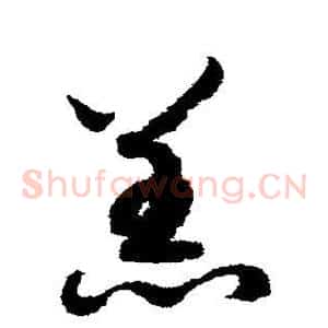羔