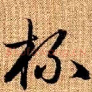 杯