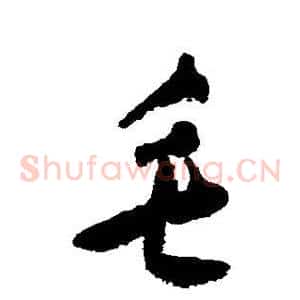 毛