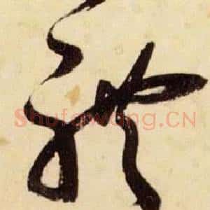 體