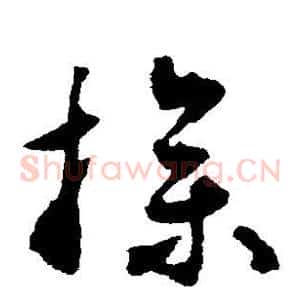 操