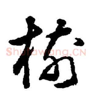 樹