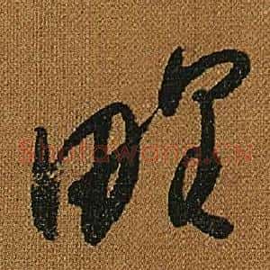 野