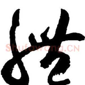 体
