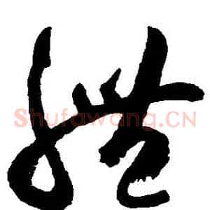 體
