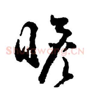 瞻
