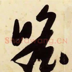 瞻