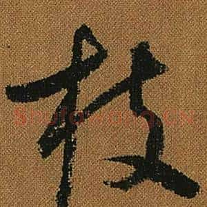 枝