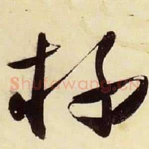 杯
