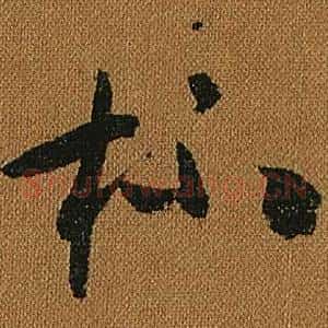 杯