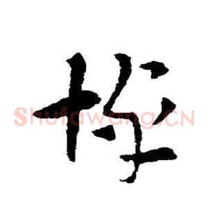 悼