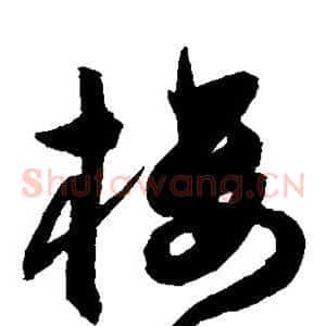 楼