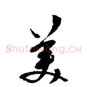 美