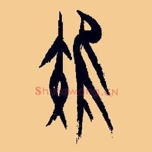 雉