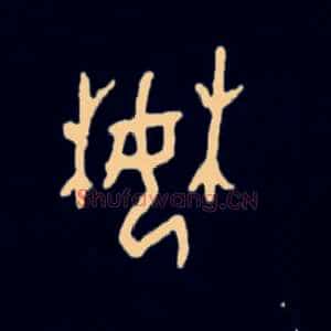 婪