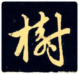 树毛笔行书写法,摘自元赵孟頫天冠山诗帖