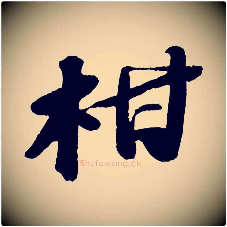 柑毛笔行书写法,摘自宋代苏轼中山松醪赋