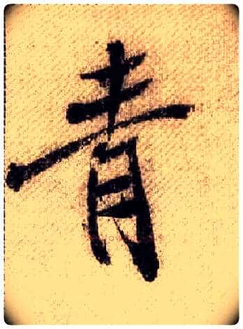 青毛笔行书写法,摘自宋米芾蜀素帖