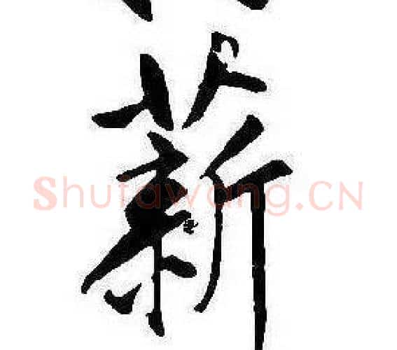 薪字康熙毛笔行书书法写法,摘自千字文