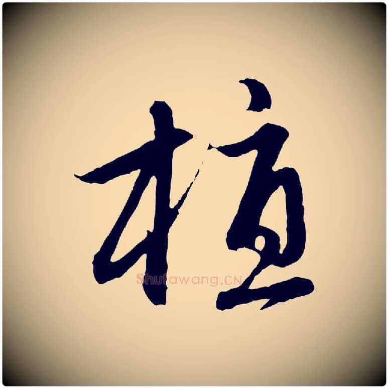 植毛笔行楷写法,摘自元代赵孟頫感兴诗并序