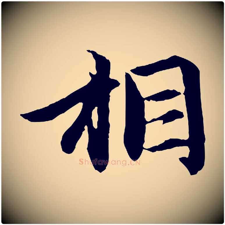 相毛笔行楷写法,摘自元代赵孟頫感兴诗并序