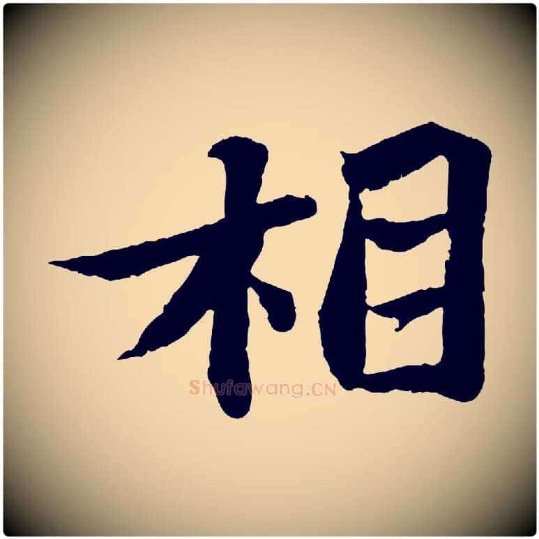 相毛笔行书写法,摘自宋代苏轼赤壁赋