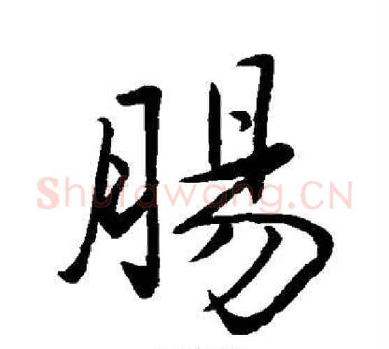 肠字赵孟頫毛笔行书写法,摘自赵孟頫毛笔行书作品