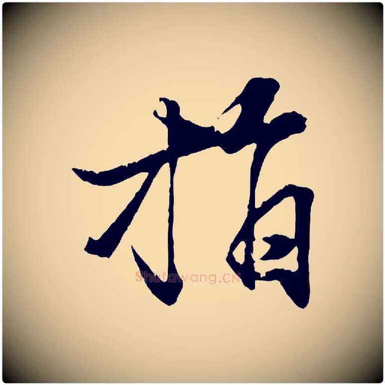 指毛笔行楷写法,摘自元代张雨跋苏轼诗二首