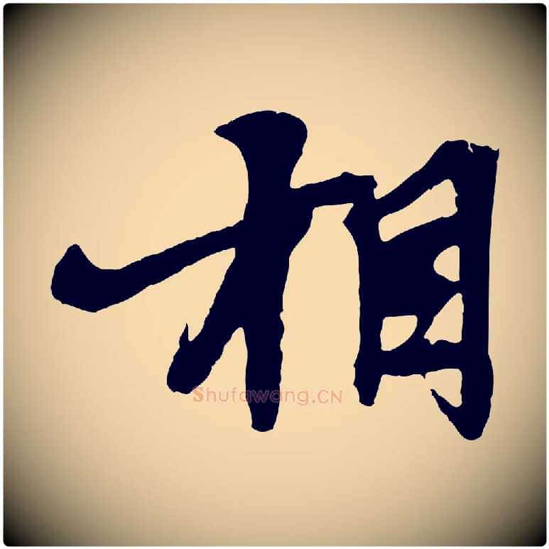 相毛笔行楷写法,摘自元代张雨跋苏轼诗二首