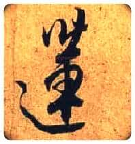 莲毛笔行书写法,摘自唐杜牧张好好诗卷