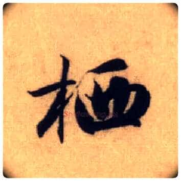 栖毛笔行书写法,摘自元赵孟頫前后赤壁赋