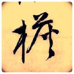 檐毛笔行书写法,摘自明唐寅吴门避暑诗