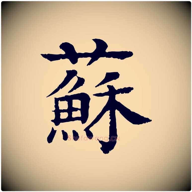 蘇毛笔行楷写法,摘自元代柳贯跋道服赞