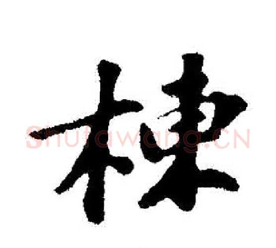 棟字苏轼毛笔行书书法写法,摘自苏轼毛笔行书书法作品